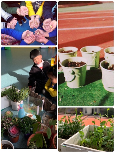 IMG_4423~photo